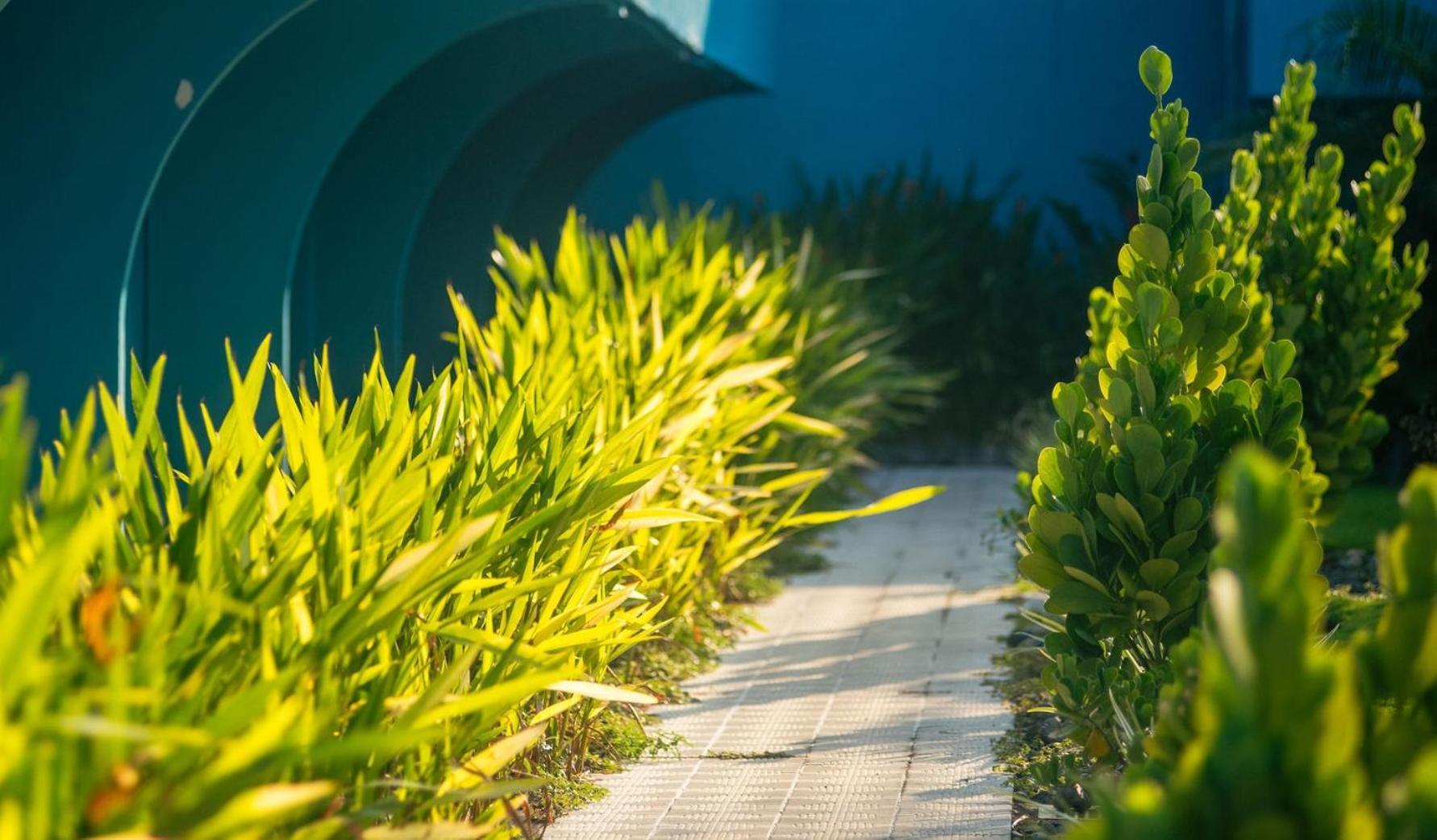 Beach Break Resort & Cr Surf Camp ハコ エクステリア 写真