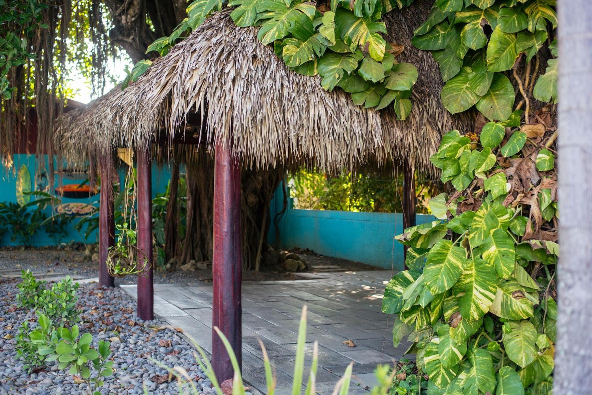 Beach Break Resort & Cr Surf Camp ハコ エクステリア 写真
